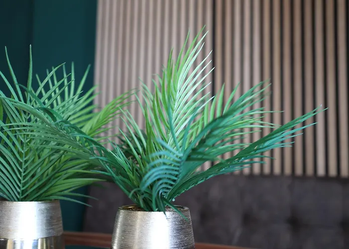 Apartmán -residenz Josephine- Atemberaubender Rheinblick Bis Zum Deutschen Eck