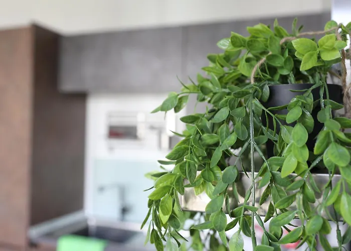 -residenz Josephine- Atemberaubender Rheinblick Bis Zum Deutschen Eck Apartmán Koblenc